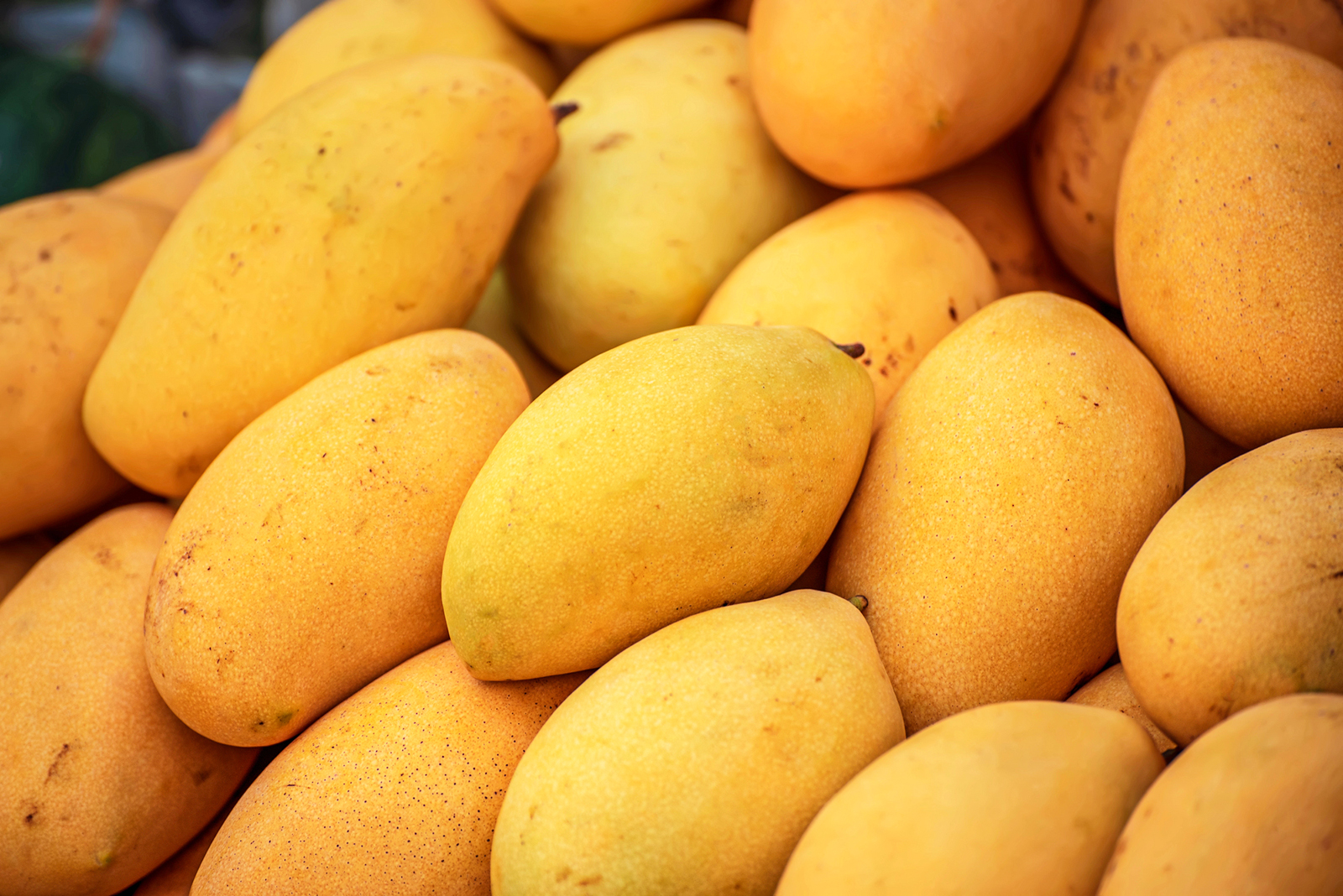 Thai Mango Thai Mango