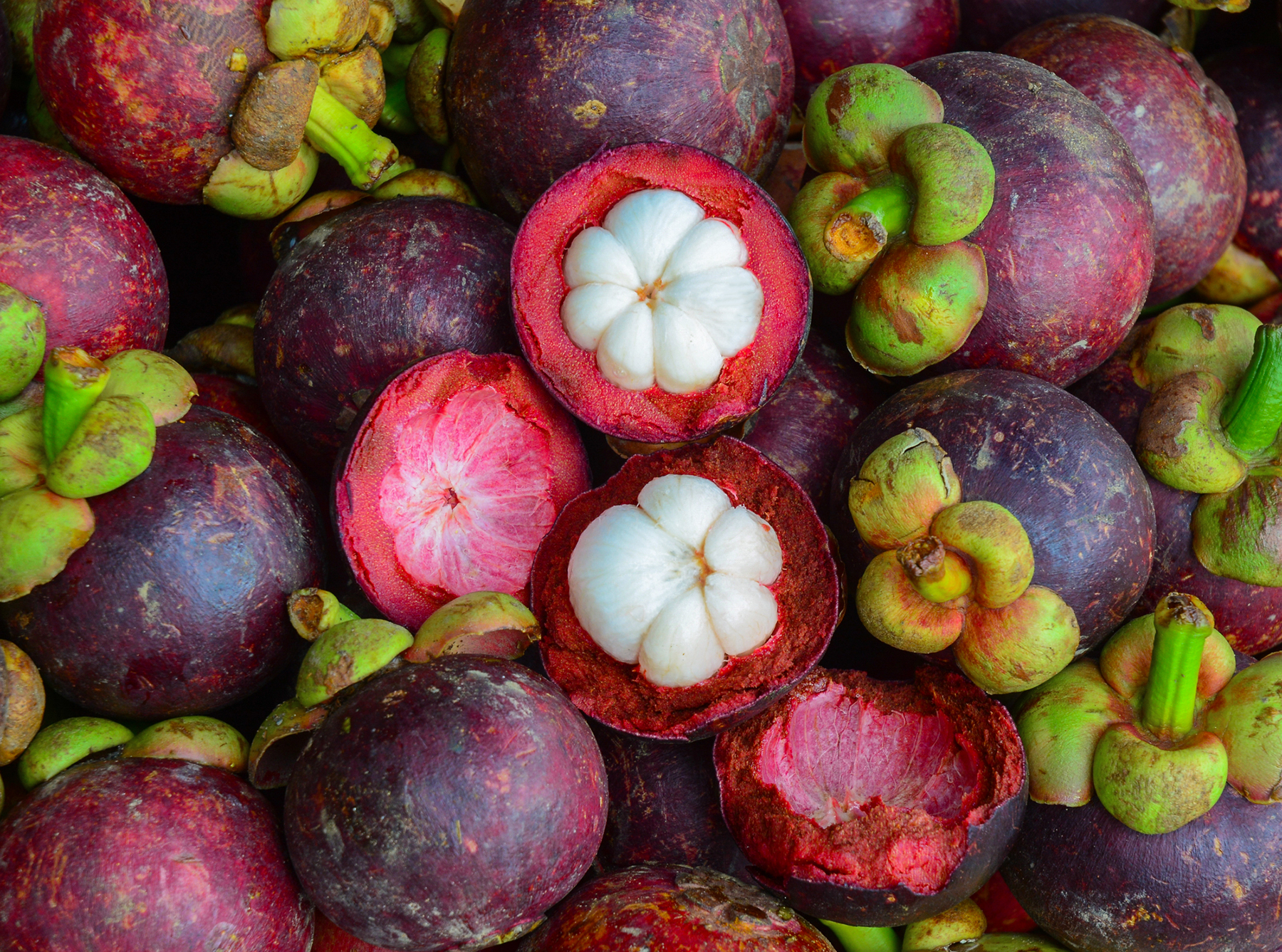 Mangosteen Mangosteen