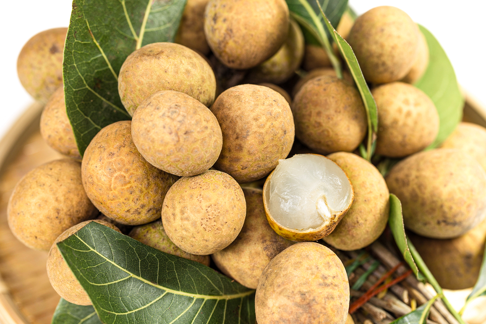 Longan Longan