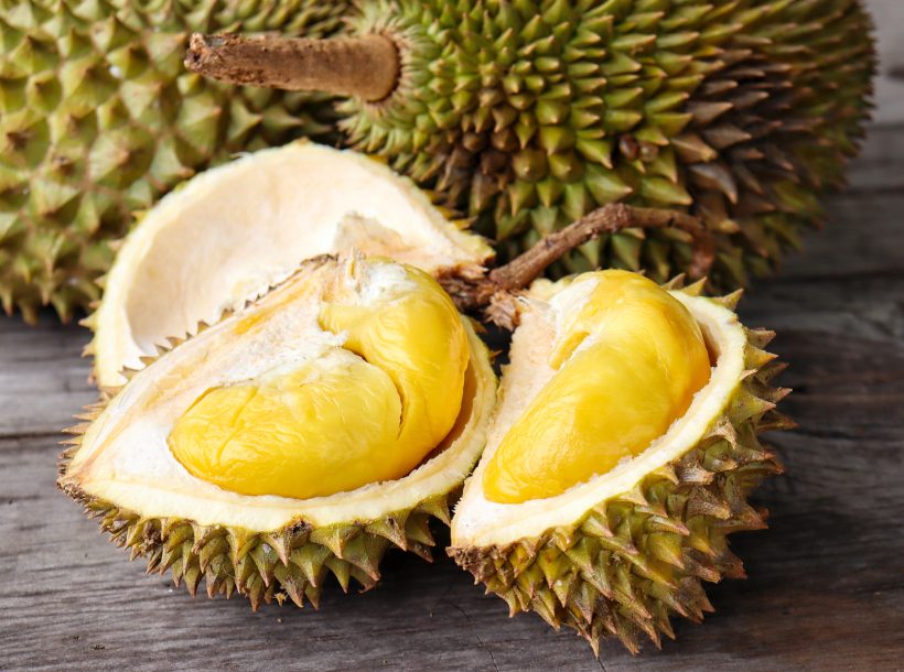 Musang King Durian Musang King Durian